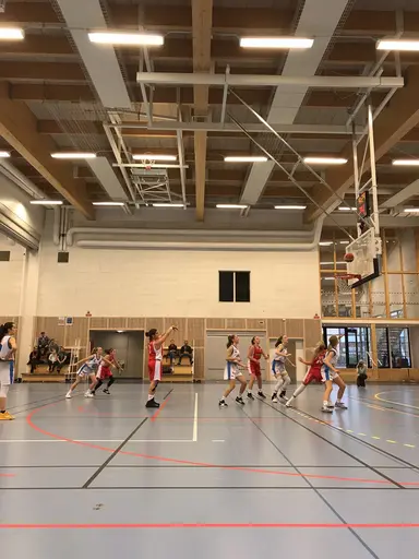 11/11-18: Trist förlust mot Tureberg Ladies efter en jämn match. 