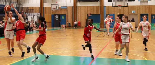 Som första Vibylag någonsin vinner supertjejerna Stockholmsserien o cupen (Nivå 1)! 