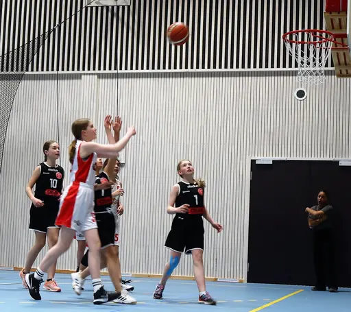Supertjejerna in Action