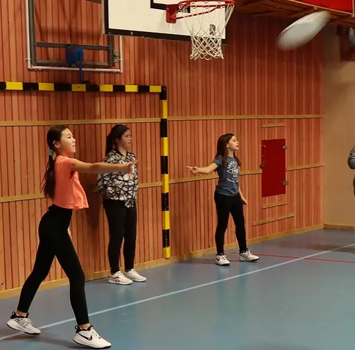 Brännboll och frisbee