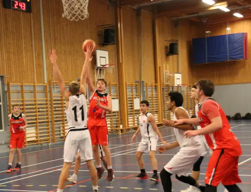 "Flying Albin"  (mot Uppsala - Feb 2018)