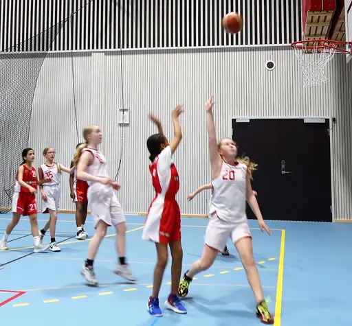 Supertjejerna in Action
