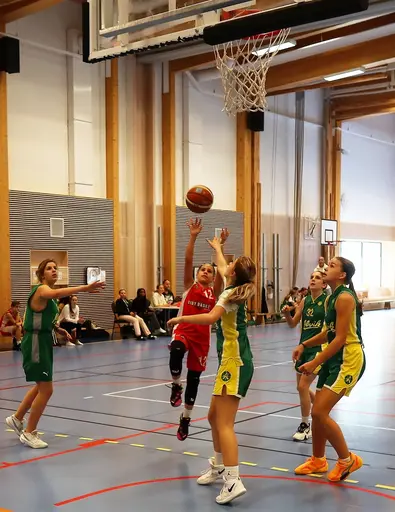 Supertjejerna besegrar Alvik igen
