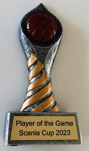 Bronsmedaljen samt Matchens MVP-pris
