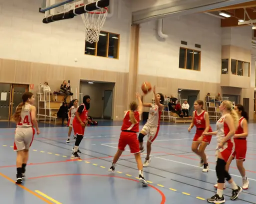 Vita laget befäster sin serieledning efter seger mot Duvbo