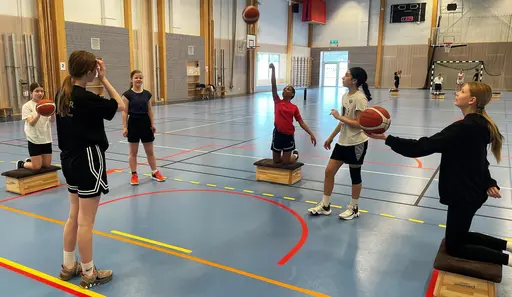 På matchfria helgdagar kör vi "Skotträning special"; mycket teknik o detaljer samt Beat-the-Pro (Se särskild tab)