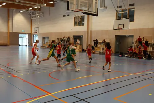 Supertjejerna besegrar Alvik igen