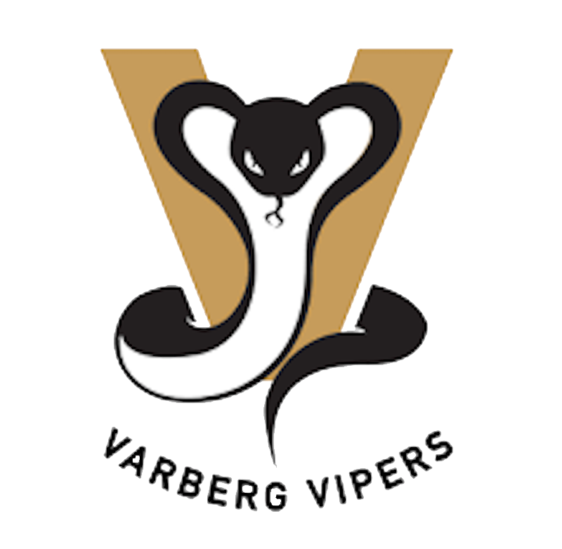 Varberg Hockey Klubb