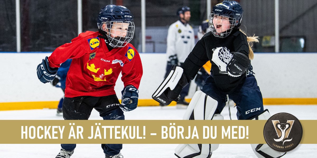 Skridsko- och hockeyskola för både flickor och pojkar