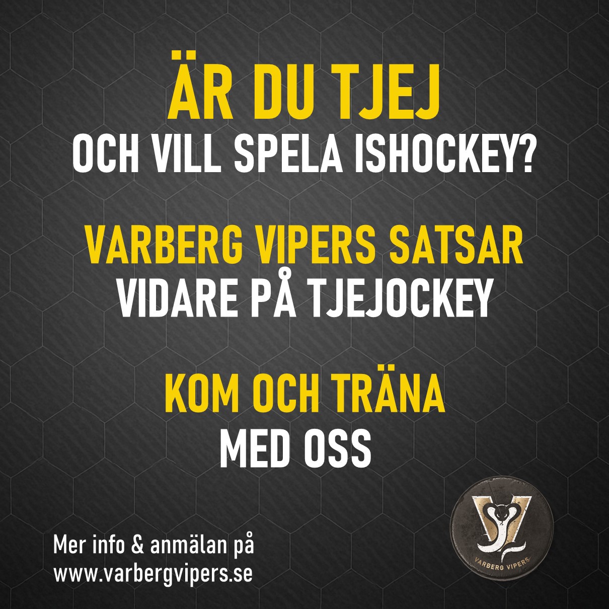 BÖRJA SPELA TJEJHOCKEY