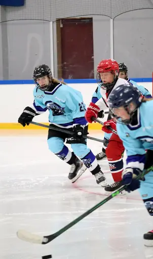 Hemmamatch i Vikingahallen