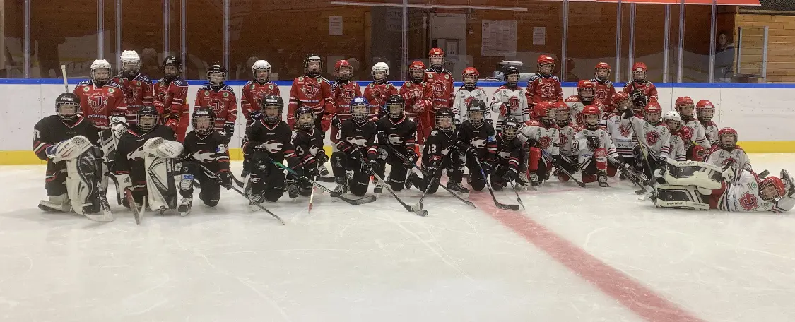 Hockeyskoj i Kallhäll 211114