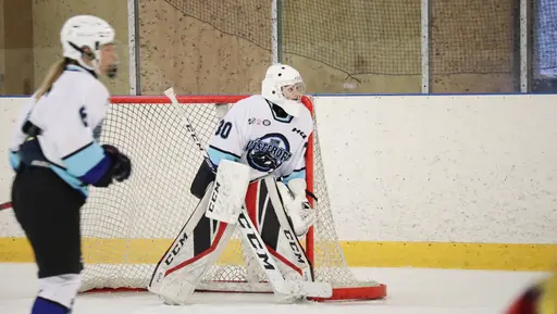 Träningsmatch mot Sollentuna 11 april, vinst 9-1
