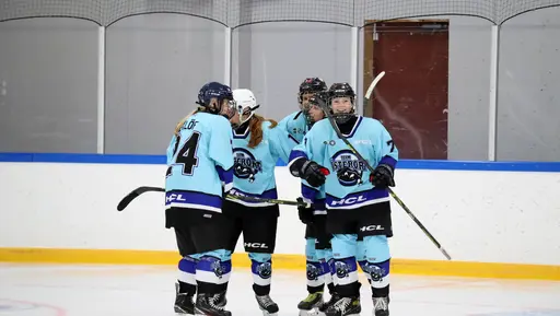 Hemmamatch i Vikingahallen