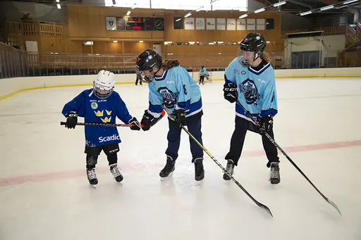 HCL Arena invigs, Team Västerort på plats! Foto: Joakim De Groot