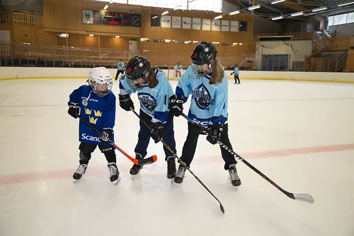 HCL Arena invigs, Team Västerort på plats! Foto: Joakim De Groot