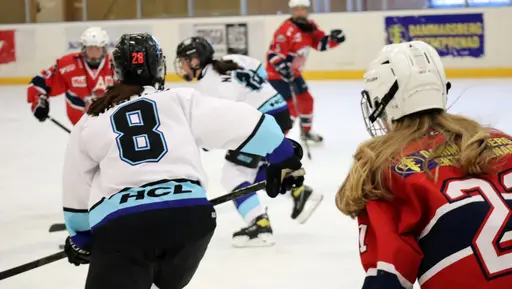 Träningsmatch mot Sollentuna 11 april, vinst 9-1