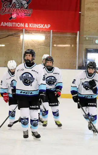Träningsmatch mot Sollentuna 11 april, vinst 9-1