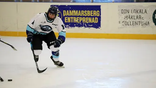Träningsmatch mot Sollentuna 11 april, vinst 9-1