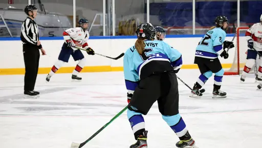 Hemmamatch i Vikingahallen