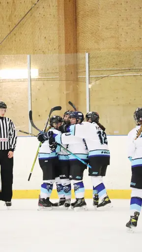 Träningsmatch mot Sollentuna 11 april, vinst 9-1