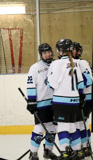 Träningsmatch mot Sollentuna 11 april, vinst 9-1