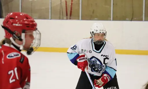 Träningsmatch mot Sollentuna 11 april, vinst 9-1