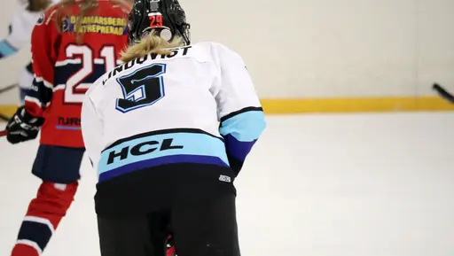 Träningsmatch mot Sollentuna 11 april, vinst 9-1