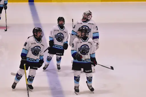 Alla bilder tagna av Liselotte Sjöholm