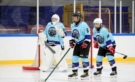 Hemmamatch i Vikingahallen