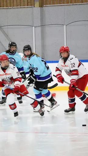 Hemmamatch i Vikingahallen