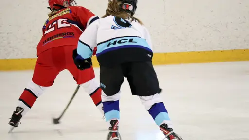 Träningsmatch mot Sollentuna 11 april, vinst 9-1