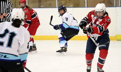 Träningsmatch mot Sollentuna 11 april, vinst 9-1