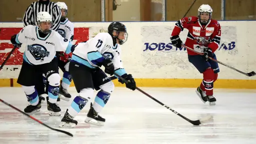 Träningsmatch mot Sollentuna 11 april, vinst 9-1