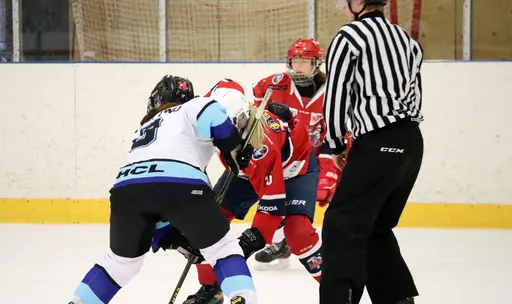 Träningsmatch mot Sollentuna 11 april, vinst 9-1