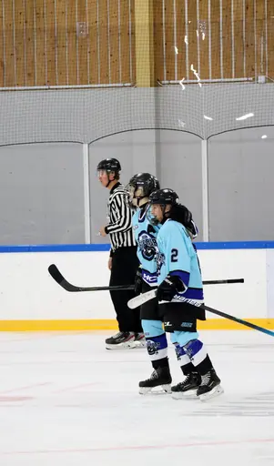 Hemmamatch i Vikingahallen