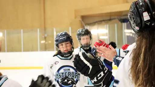 Träningsmatch mot Sollentuna 11 april, vinst 9-1