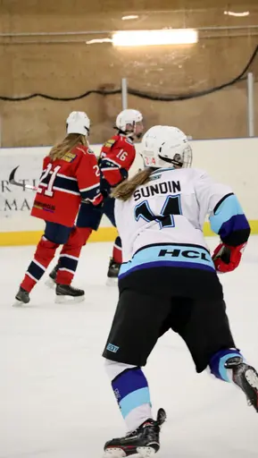 Träningsmatch mot Sollentuna 11 april, vinst 9-1