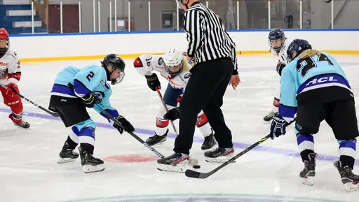 Hemmamatch i Vikingahallen
