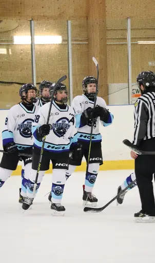 Träningsmatch mot Sollentuna 11 april, vinst 9-1