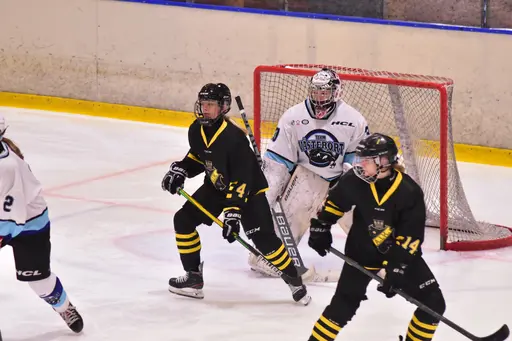 Alla bilder tagna av Liselotte Sjöholm