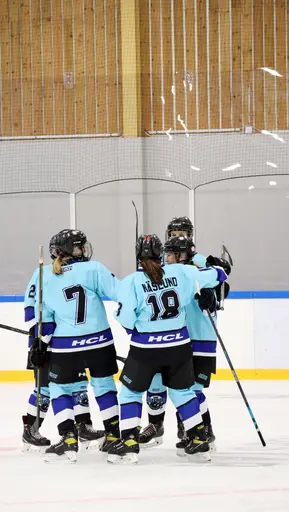 Hemmamatch i Vikingahallen
