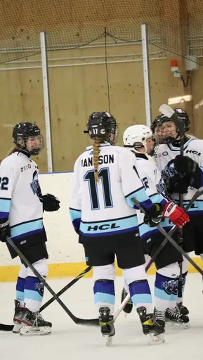 Träningsmatch mot Sollentuna 11 april, vinst 9-1