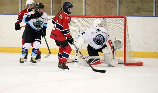 Träningsmatch mot Sollentuna 11 april, vinst 9-1