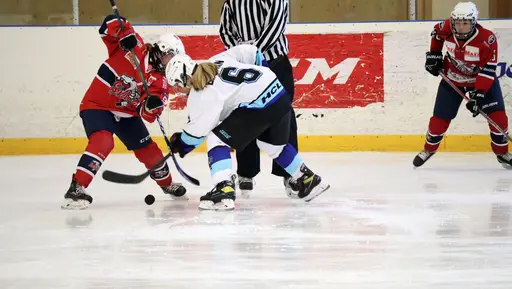 Träningsmatch mot Sollentuna 11 april, vinst 9-1
