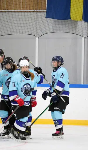 Hemmamatch i Vikingahallen