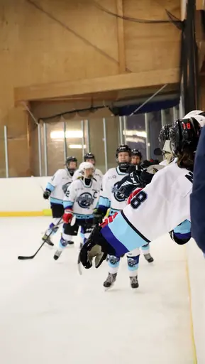 Träningsmatch mot Sollentuna 11 april, vinst 9-1