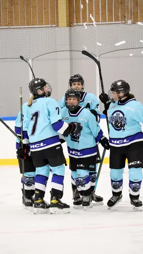 Hemmamatch i Vikingahallen