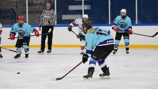 Hemmamatch i Vikingahallen