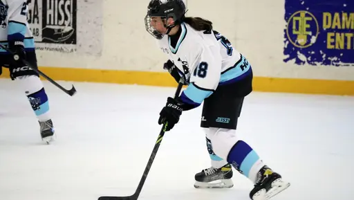 Träningsmatch mot Sollentuna 11 april, vinst 9-1